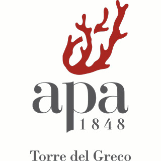 Logo di APA TORRE DEL GRECO
