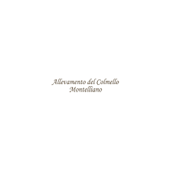 Logo di ALLEVAMENTO PASTORI TEDESCHI DEL COLMELLO MONTELLIANO