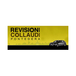 Logo di PONTEDERA REVISIONI E COLLAUDI