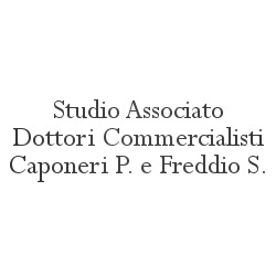 Logo di STUDIO ASSOCIATO DOTTORI COMMERCIALISTI CAPONERI P. E FREDDIO S.