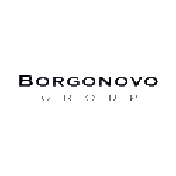 Logo di BORGONOVO GROUP