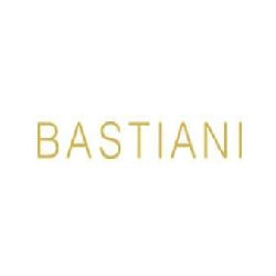 Logo di BASTIANI