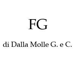 Logo di FG DI DALLE MOLLE G. E C