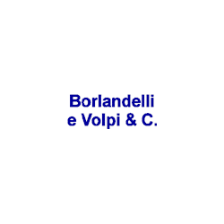 Logo di BORLANDELLI E VOLPI
