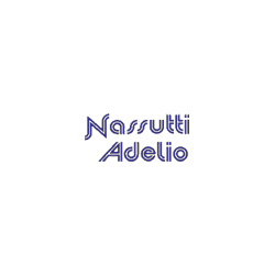 Logo di NASSUTTI ADELIO MACCHINE AGRICOLE DI MAURO & FEDERICA NASUTTI SNC