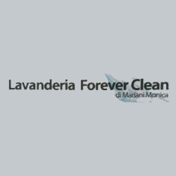 Logo di LAVANDERIA FOREVER CLEAN