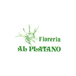 Logo di FIORERIA AL PLATANO