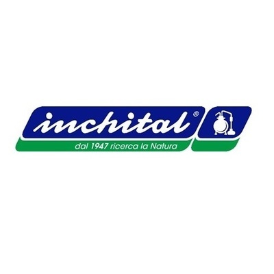 Logo di INCHITAL