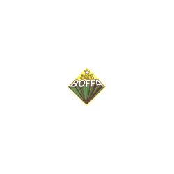 Logo di BOFFA CARNI