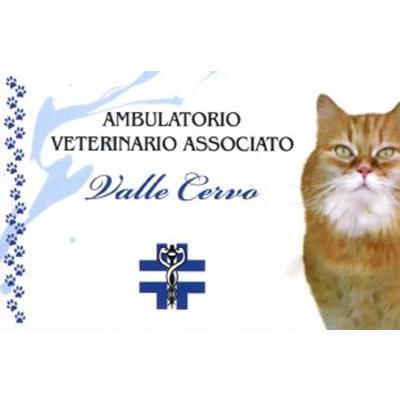 Logo di AMBULATORIO VETERINARIO ASSOCIATO VALLE CERVO