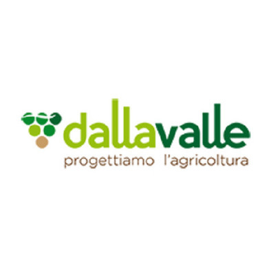 Logo di DALLA VALLE