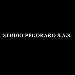 Logo di STUDIO PEGORARO SAS
