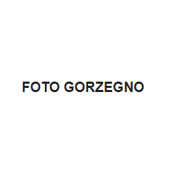 Logo di FOTO GORZEGNO