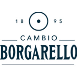Logo di CAMBIO BORGARELLO