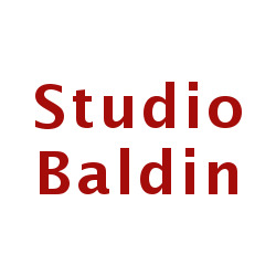 Logo di STUDIO BALDIN ERNESTO