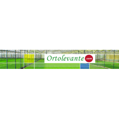 Logo di ORTOLEVANTE