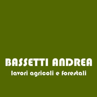 Logo di BASSETTI ANDREA