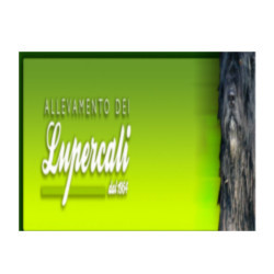 Logo di ALLEVAMENTO DEI LUPERCALI