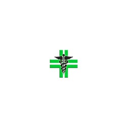 Logo di FARMACIA BRESCIANI