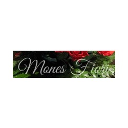 Logo di MONES FIORI