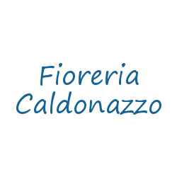 Logo di FIORERIA CALDONAZZO