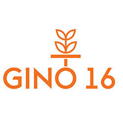Logo di GINO 16