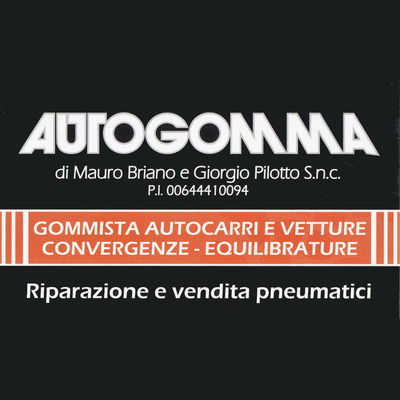 Logo di AUTOGOMMA