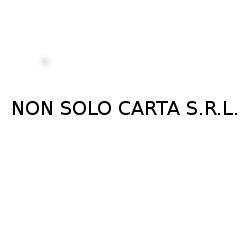 Logo di NON SOLO CARTA