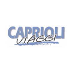 Logo di CAPRIOLI VIAGGI