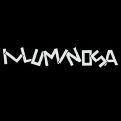 Logo di ILLUMINOSA
