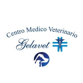 Logo di AMBULATORIO VETERINARIO GELAVET DOTT. ANGELO SPOTO