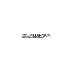 Logo di IMMOBILIARE MILLENNIUM