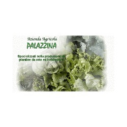 Logo di AZIENDA AGRICOLA PALAZZINA