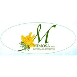 Logo di IMPRESA DI PULIZIE MIMOSA