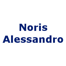 Logo di NORIS ALESSANDRO
