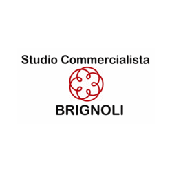 Logo di BRIGNOLI RAG. MASSIMO