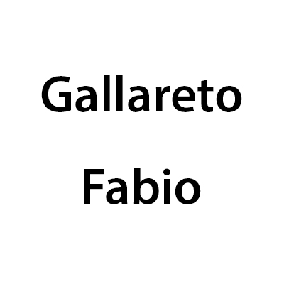 Logo di GALLARETO  FABIO