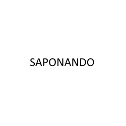 Logo di SAPONANDO