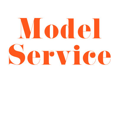 Logo di MODEL SERVICE