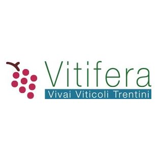 Logo di VITIFERA