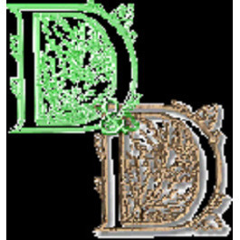 Logo di DARGENIO & DUSETTI