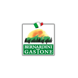 Logo di BERNARDINI GASTONE
