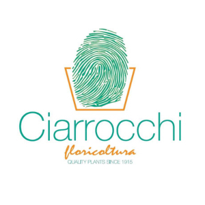 Logo di CIARROCCHI FLORICOLTURA