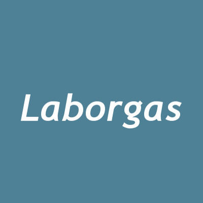 Logo di LABORGAS