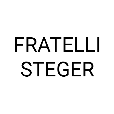 Logo di STEGER FRATELLI