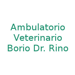 Logo di BORIO DR. RINO