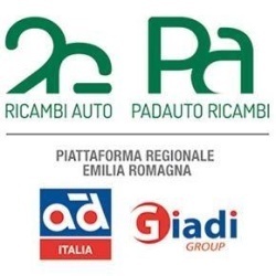 Logo di 2G RICAMBI PADAUTO