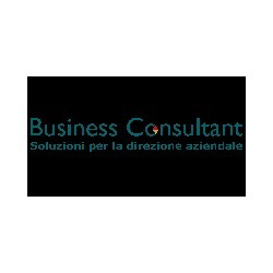 Logo di BUSINESS CONSULTANT