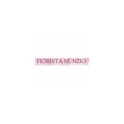 Logo di FIORISTA NUNZIO