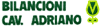 BILANCIONI CAV. ADRIANO VIVAIO SOC. AGR. BILANCIONI CAV. ADRIANO E FIGLI S.S.